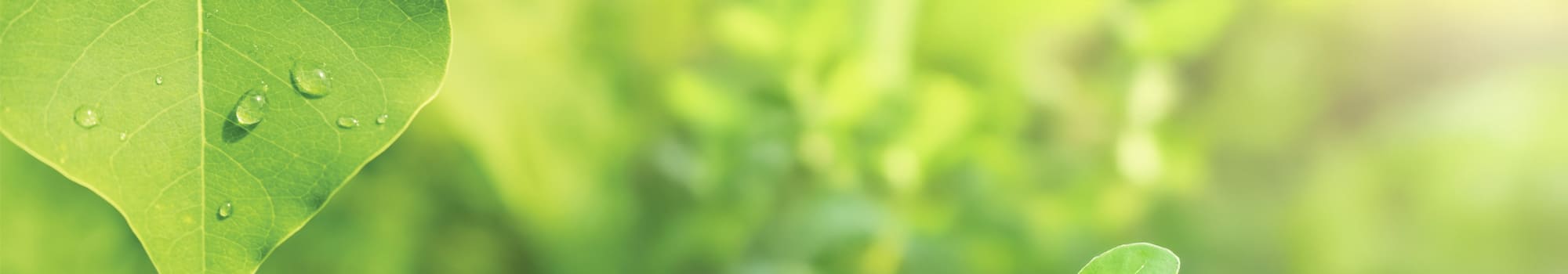 産業廃棄物・中間処理